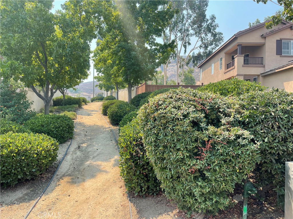 17821 Morning Rock Circle Riverside, CA 92503 - Photo 47 of 47 a view of a yard with plants and a large tree