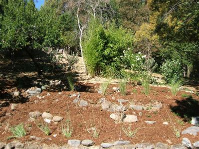 103 Butterfield Road San Anselmo, CA 94960 - Photo 9 of 11 Gallery Image 9