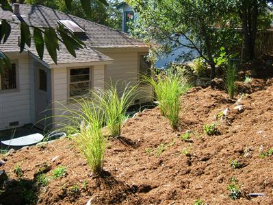 103 Butterfield Road San Anselmo, CA 94960 - Photo 10 of 11 Gallery Image 10