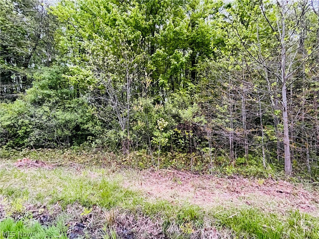 Bates Road Madison, OH 44057 - Photo 10 of 14