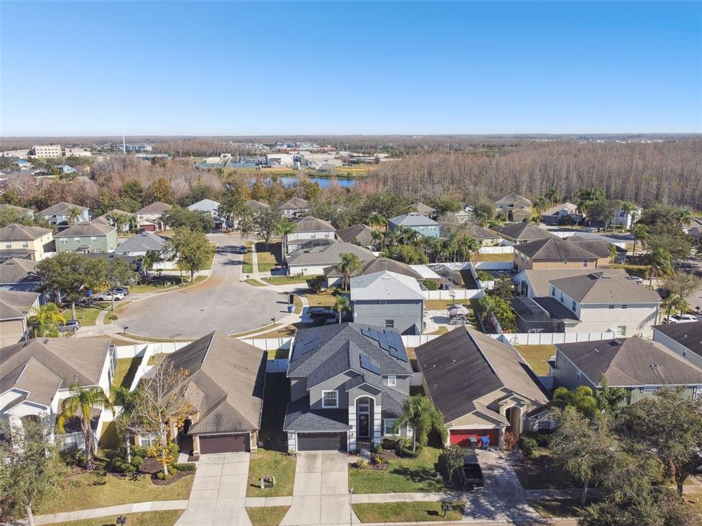 3030 Trinity Cottage Drive Land O Lakes, FL 34638 - Photo 68 of 81