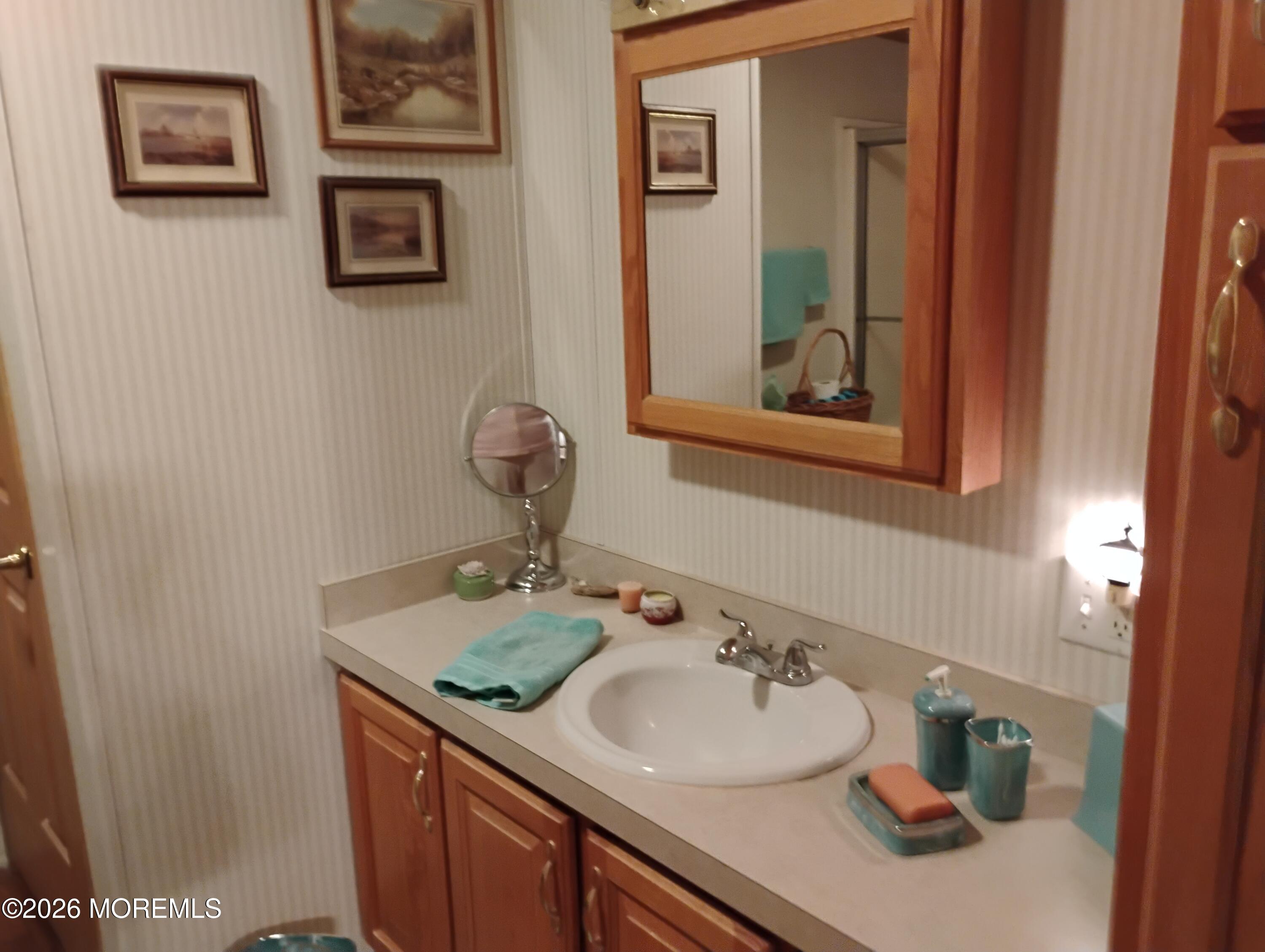 1208 Winding Brook Way Whiting, NJ 08759 - Photo 16 of 21 a bathroom with a sink and a mirror
