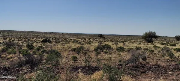 a view of a big yard