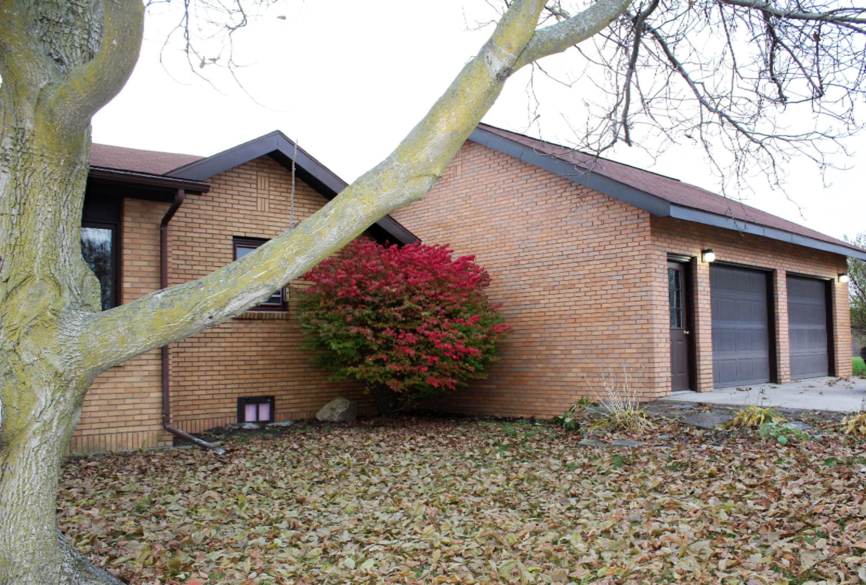 579 East Parmeter Road Ionia, MI 48846 - Photo 6 of 38 IMG_1638