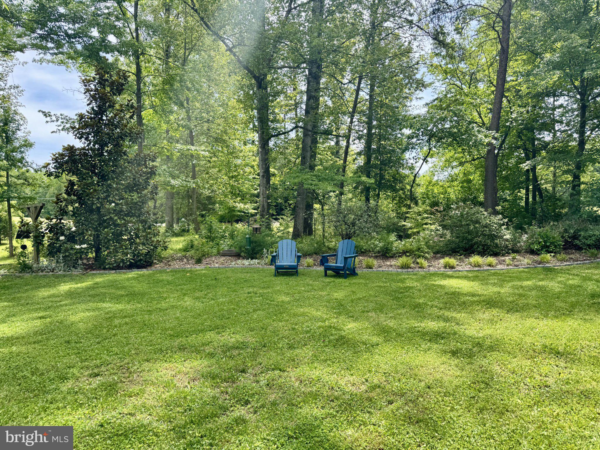 230 Richards Ferry Road Fredericksburg, VA 22406 - Photo 4 of 13 Tranquil retreat in lush greenery.
