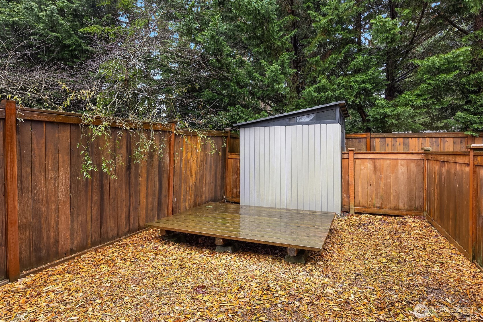 23703 Southeast 284th Street Maple Valley, WA 98038 - Photo 30 of 33 a view of backyard with tub and trees