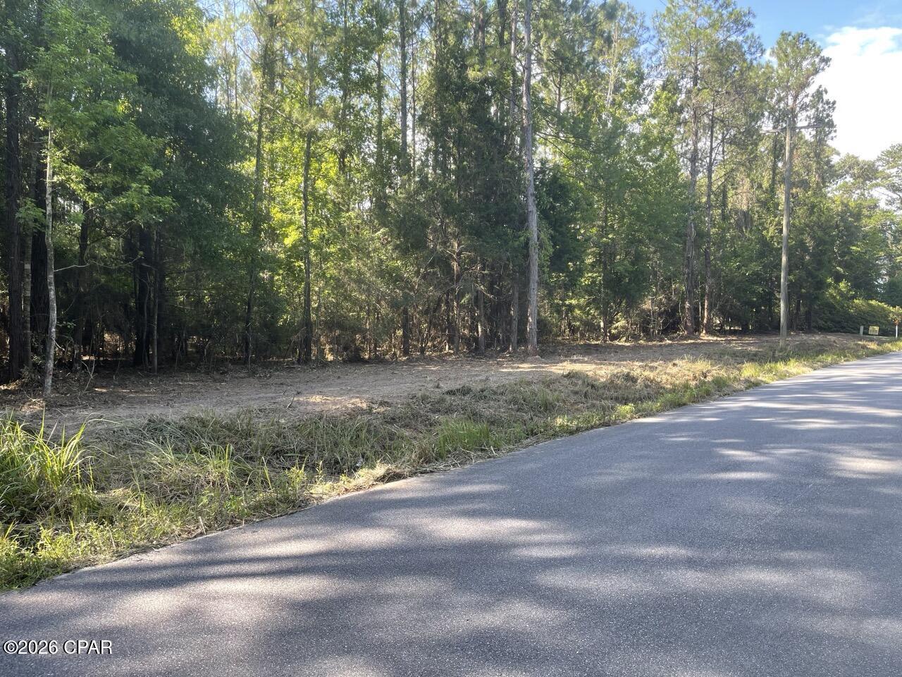 0 Beall Packing House Road Bonifay, FL 32425 - Photo 6 of 12