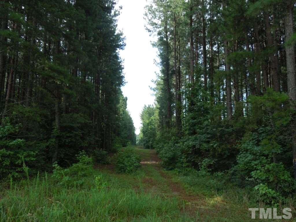 Allison Road, Unit FRONTAGE Cedar Grove, NC 27231 - Photo 3 of 8 Gallery Image 3