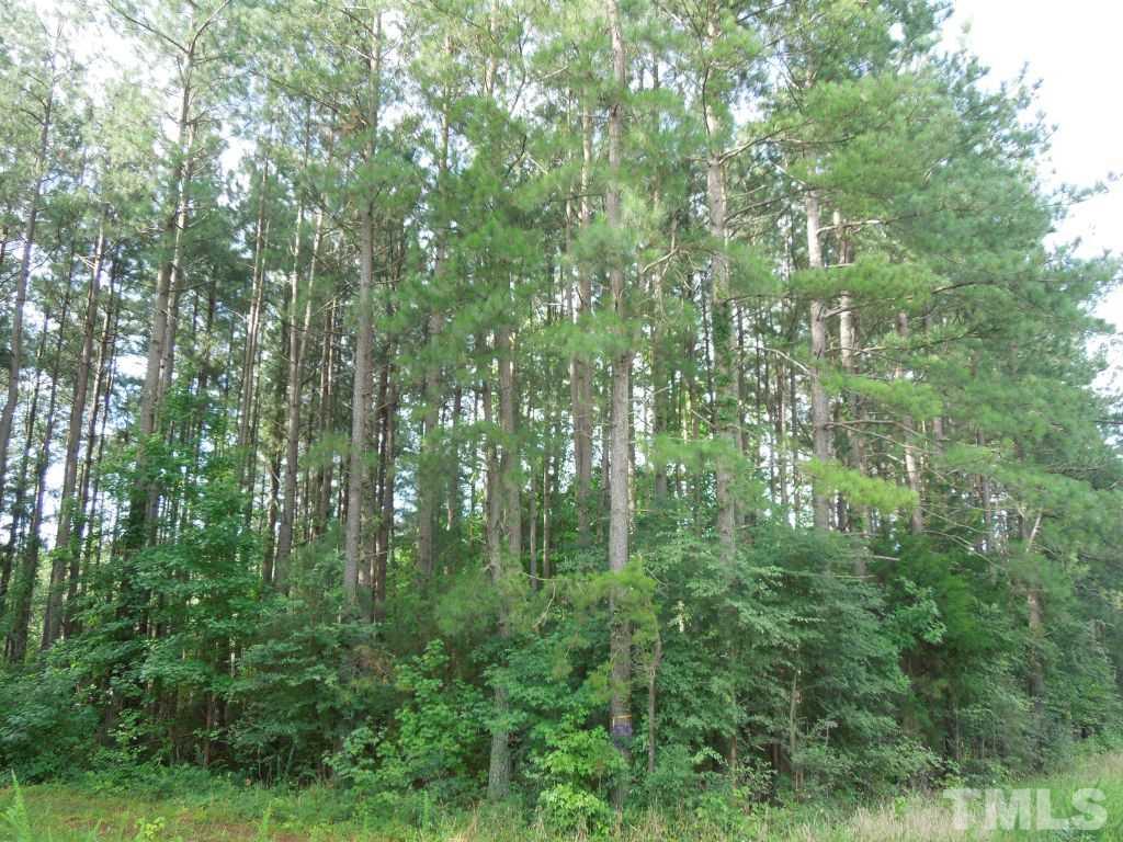 Allison Road, Unit FRONTAGE Cedar Grove, NC 27231 - Photo 4 of 8 Gallery Image 4