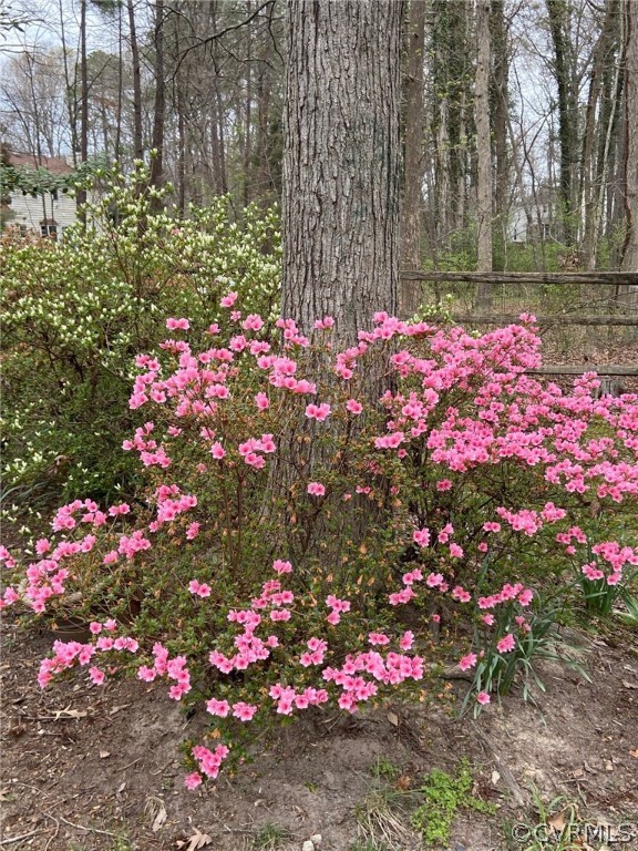 13813 Shadow Ridge Road Midlothian, VA 23112 - Photo 38 of 49 a view of yard with flowers and tree