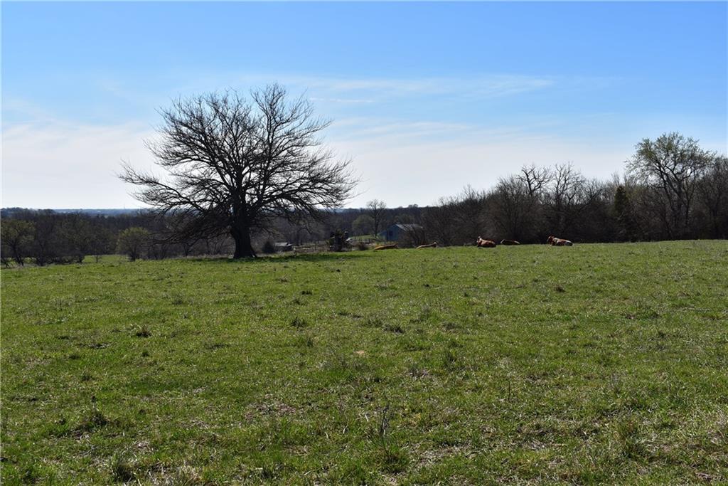 Bethel Church Road Paola, KS 66071 - Photo 11 of 11