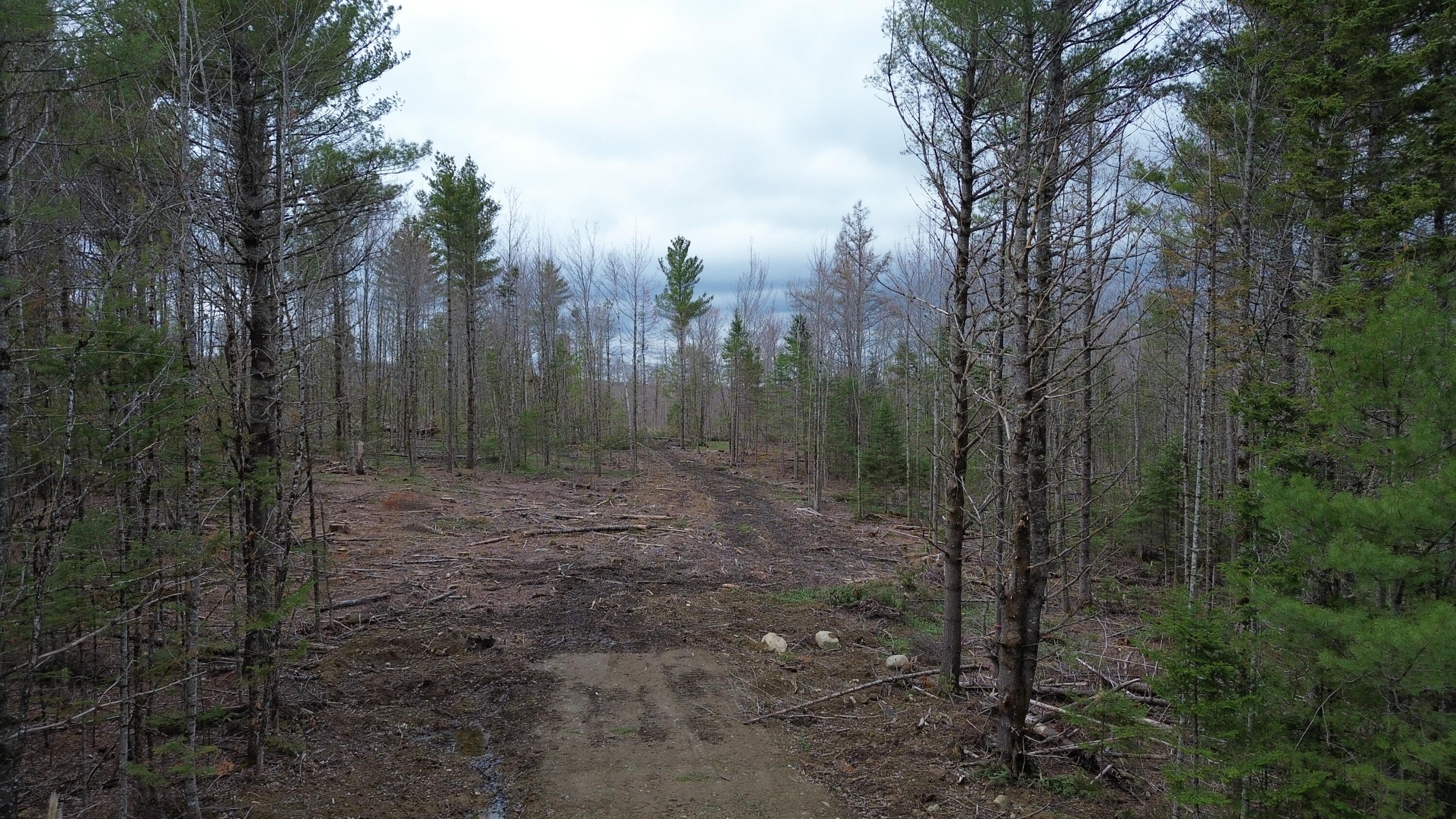 3 L13/6 Road Orient, ME 04471 - Photo 2 of 12 DJI_0778