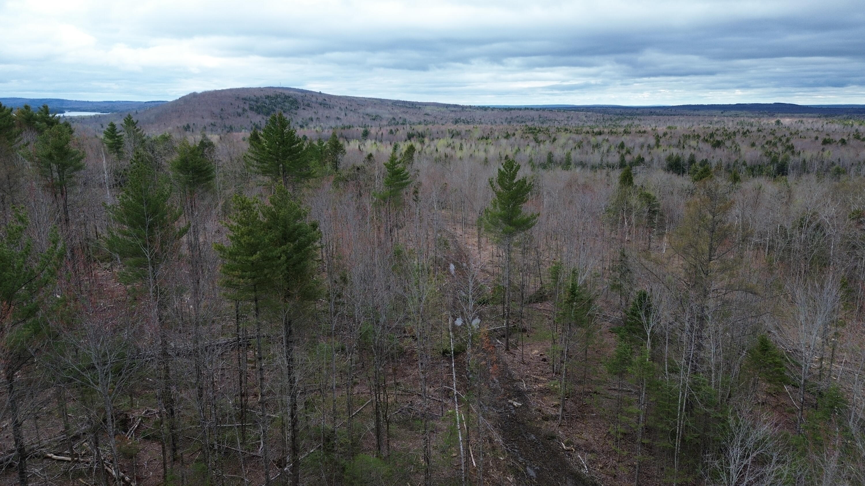 3 L13/6 Road Orient, ME 04471 - Photo 3 of 12 dji_fly_20260508_083426_786_177824376272