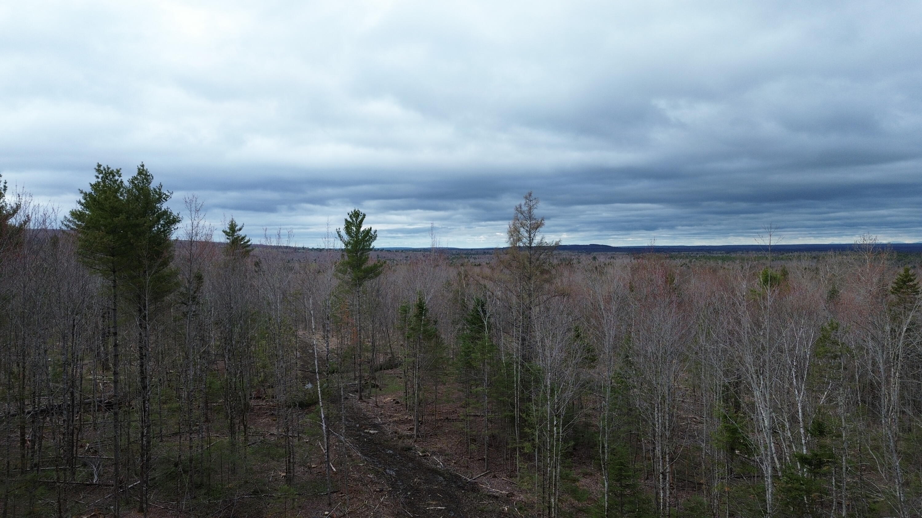 3 L13/6 Road Orient, ME 04471 - Photo 5 of 12 DJI_0780