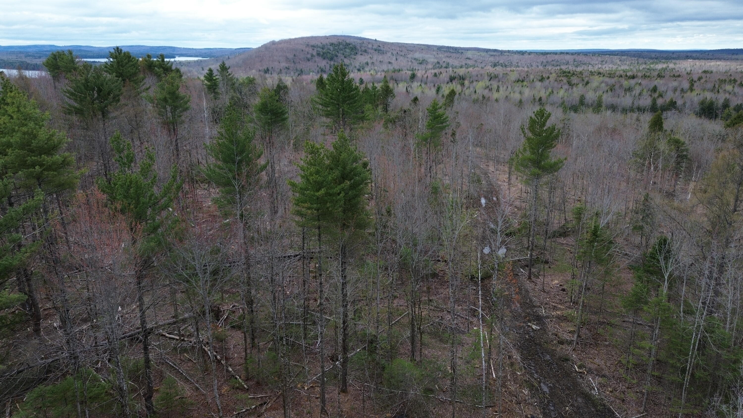 3 L13/6 Road Orient, ME 04471 - Photo 7 of 12 DJI_0792