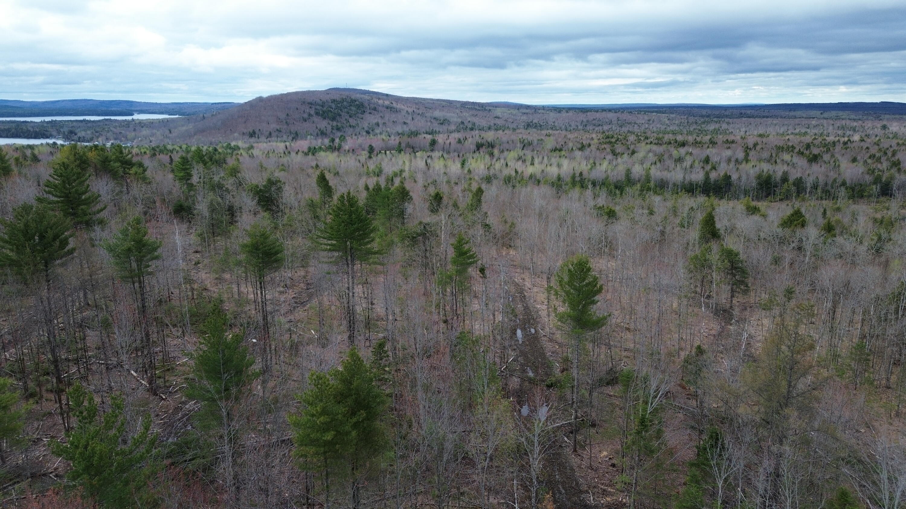 3 L13/6 Road Orient, ME 04471 - Photo 10 of 12 dji_fly_20260508_083412_783_177824369287