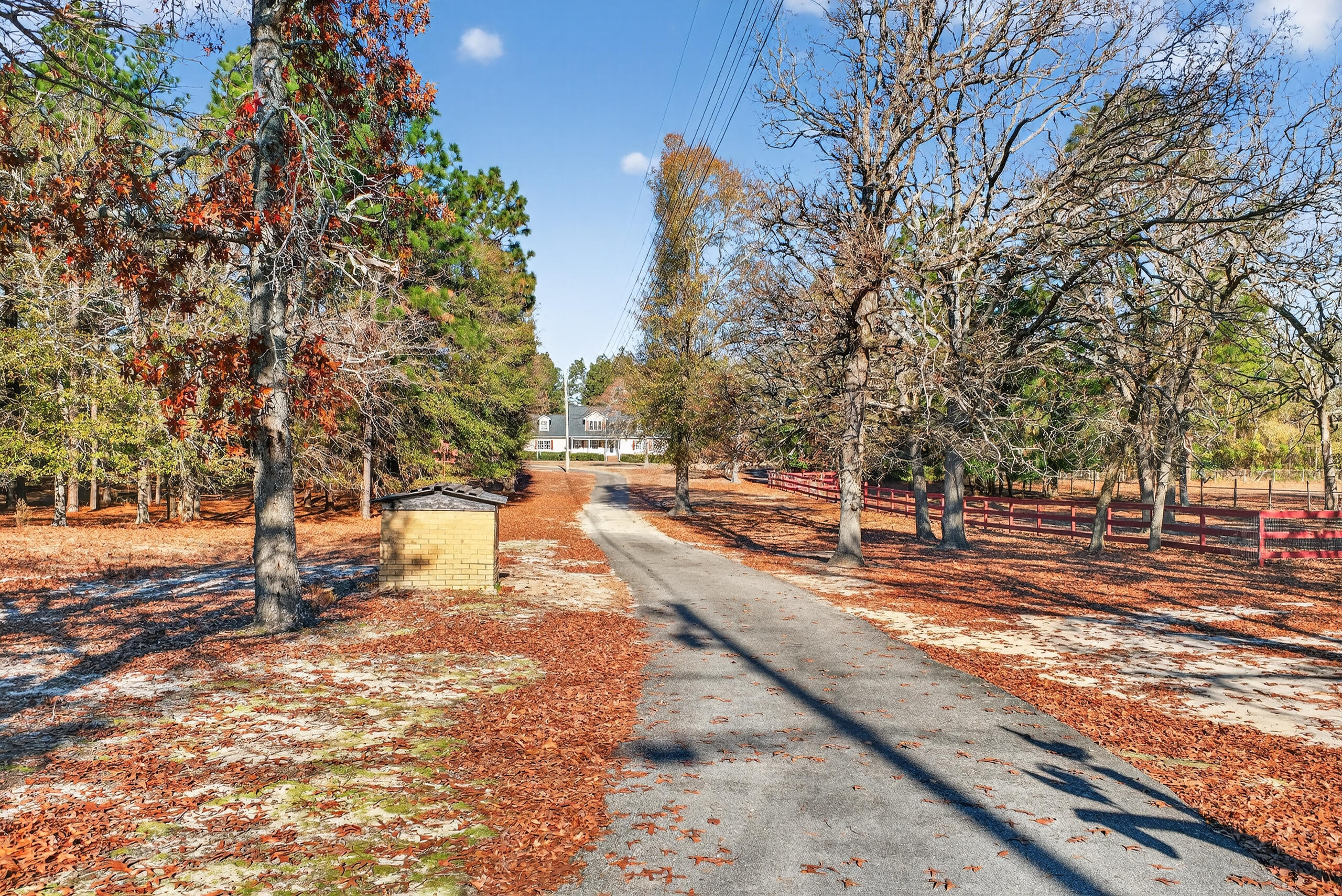 1497 Wire Road Aiken, SC 29805 - Photo 35 of 43 IMG_3164
