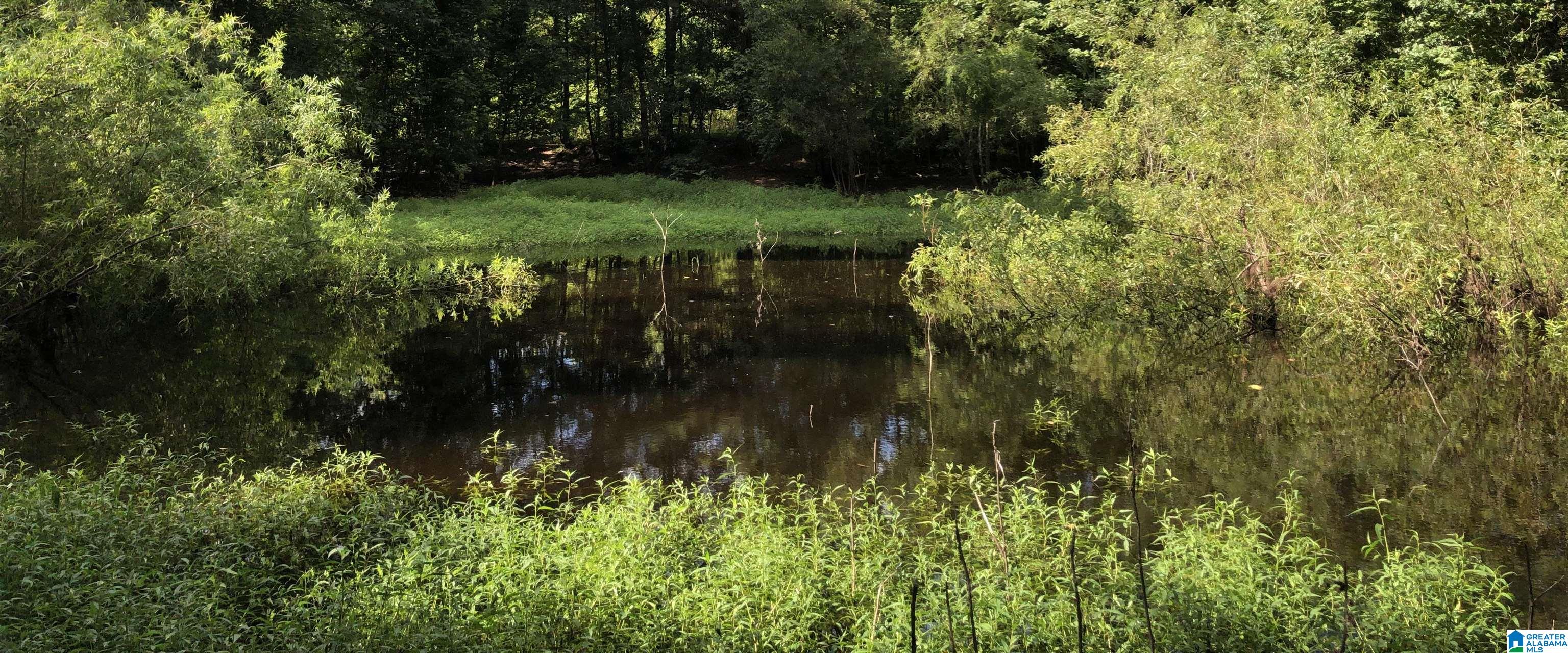 3939 Susan Moore Road Altoona, AL 35952 - Photo 8 of 12