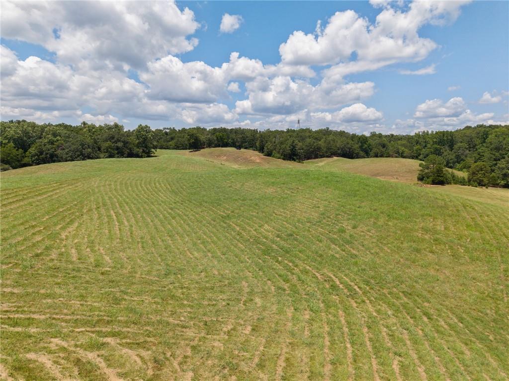 0 Mt Pleasant Road Northeast Fairmount, GA 30139 - Photo 11 of 35
