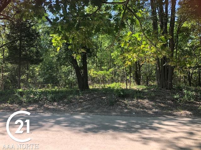0 31 Mile Road Ray, MI 48096 - Photo 5 of 17