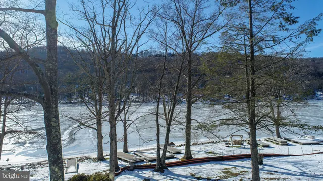 a view of a tree in the middle of a yard
