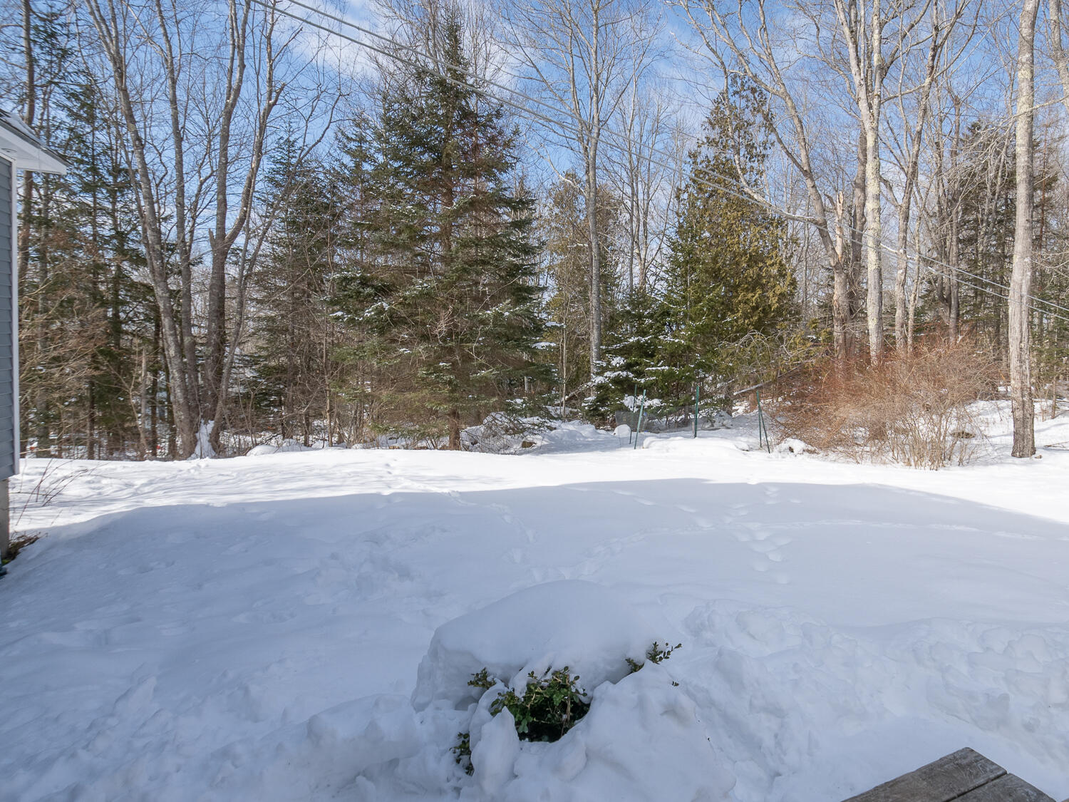 26 Gameston Park Road Ellsworth, ME 04605 - Photo 47 of 49 Back Yard