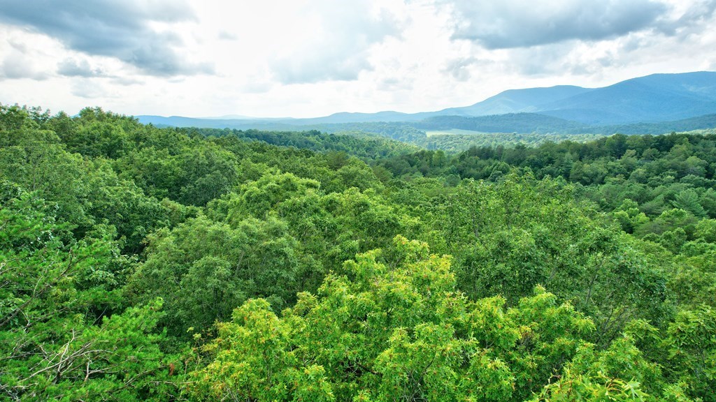 17.67-ac Rainbow Ridge Road Ellijay, GA 30536 - Photo 10 of 42 Gallery Image 10