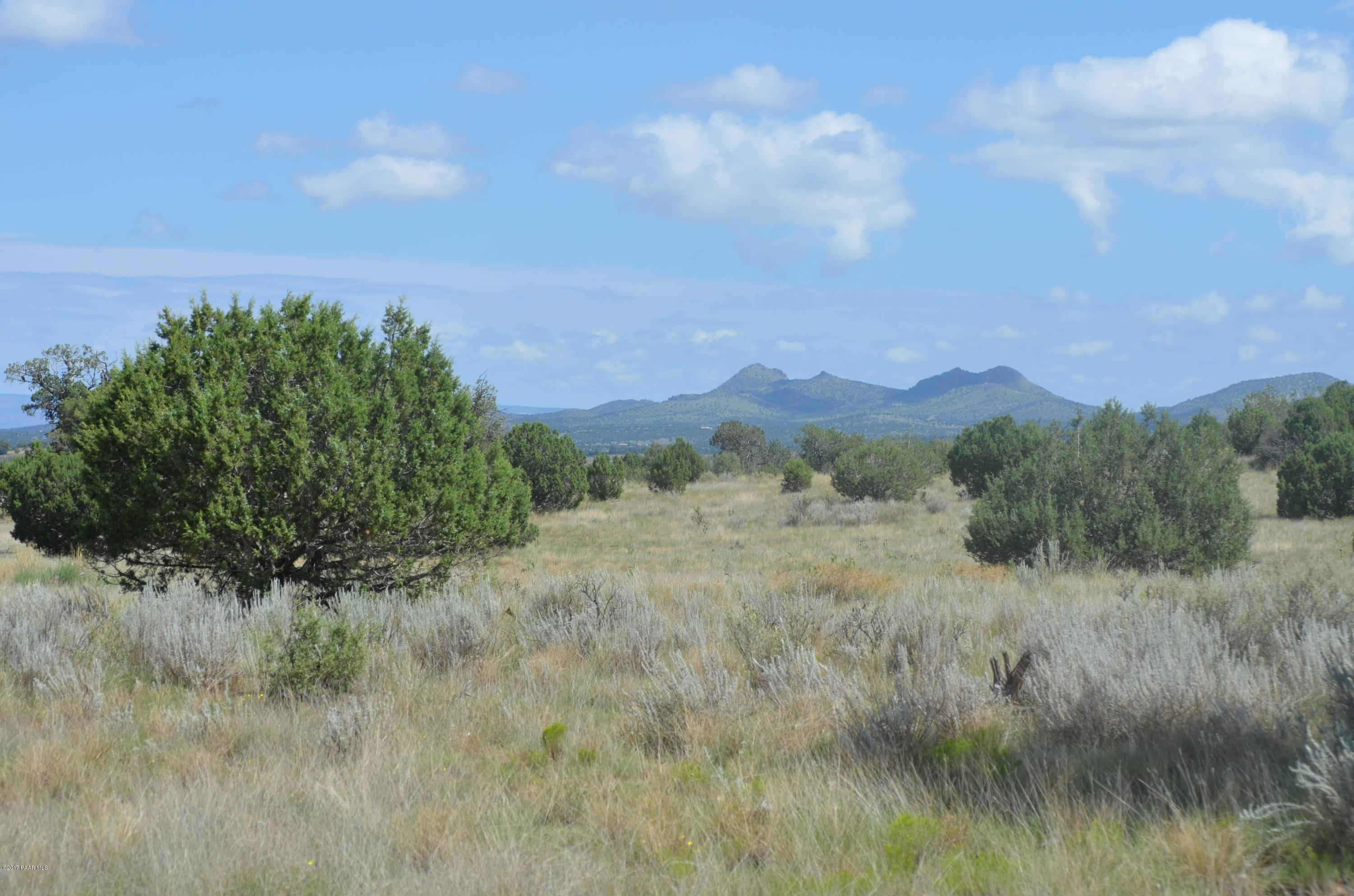 12850 North Puntenney Road Prescott, AZ 86305 - Photo 4 of 4 sullivan buttes-a