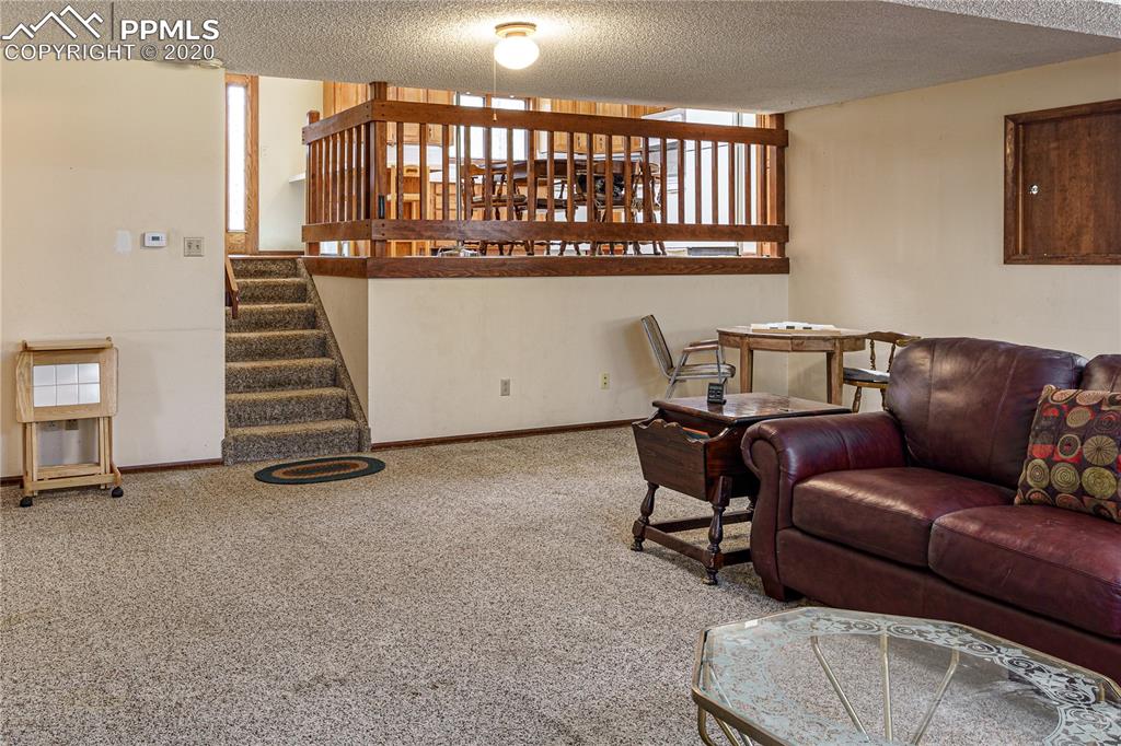 11020 Hardy Road Colorado Springs, CO 80908 - Photo 18 of 49