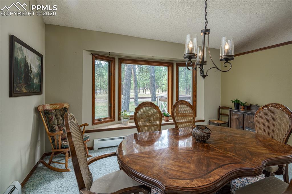 11020 Hardy Road Colorado Springs, CO 80908 - Photo 22 of 49