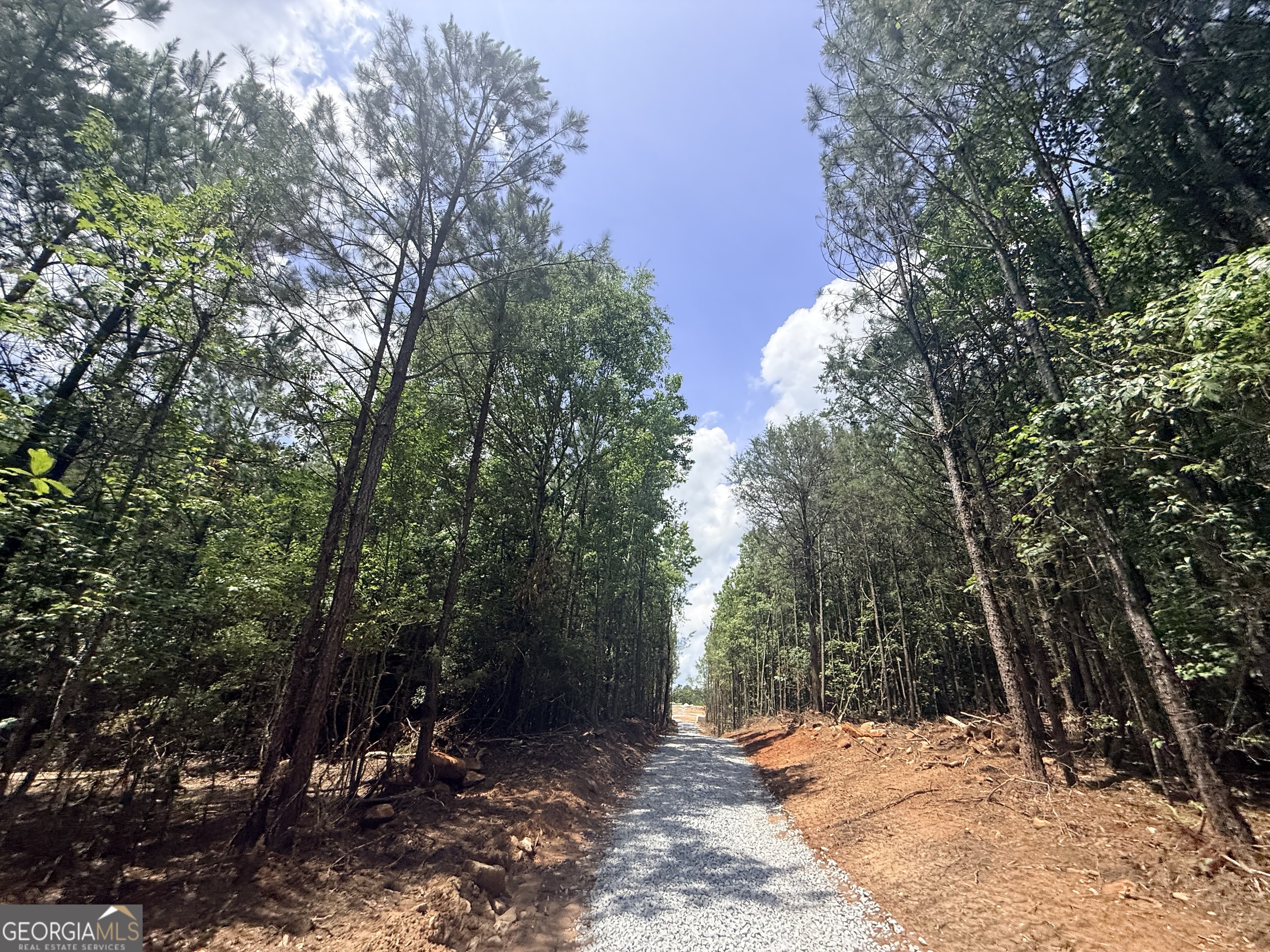 2787 Cedar Creek Road Elberton, GA 30635 - Photo 15 of 88