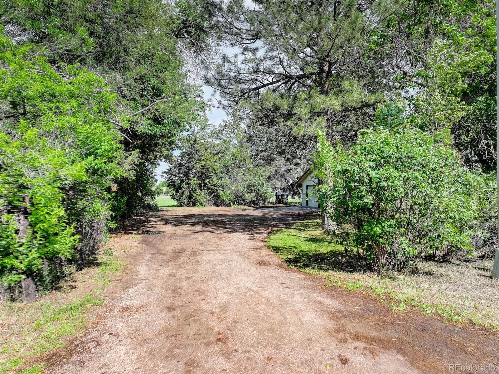 14650 Tejon Street Broomfield, CO 80023 - Photo 33 of 39 a view of a yard with plants and a small yard