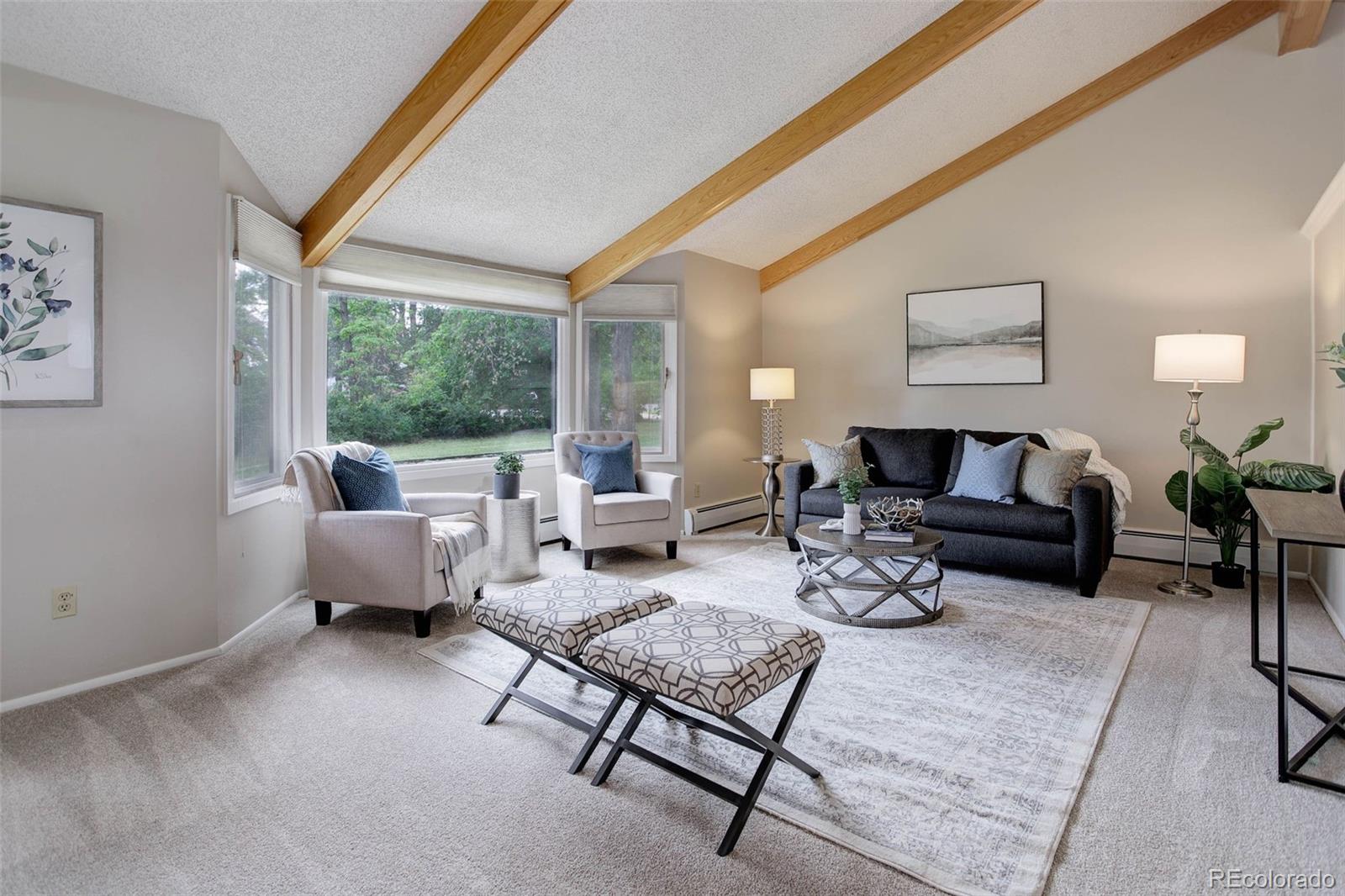 14650 Tejon Street Broomfield, CO 80023 - Photo 6 of 39 a living room with furniture and a rug
