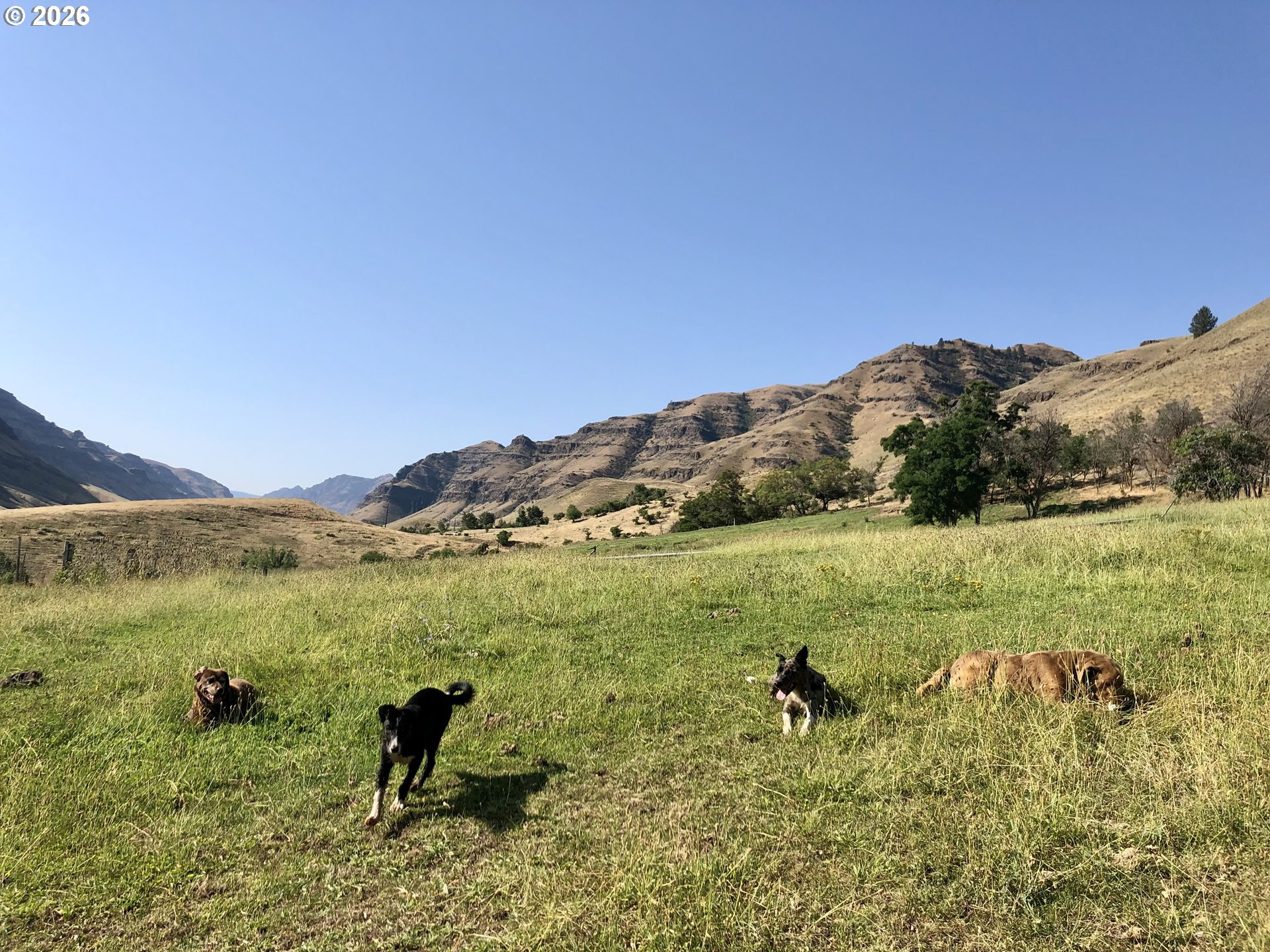 73720 Indian Creek Road Imnaha, OR 97842 - Photo 25 of 32