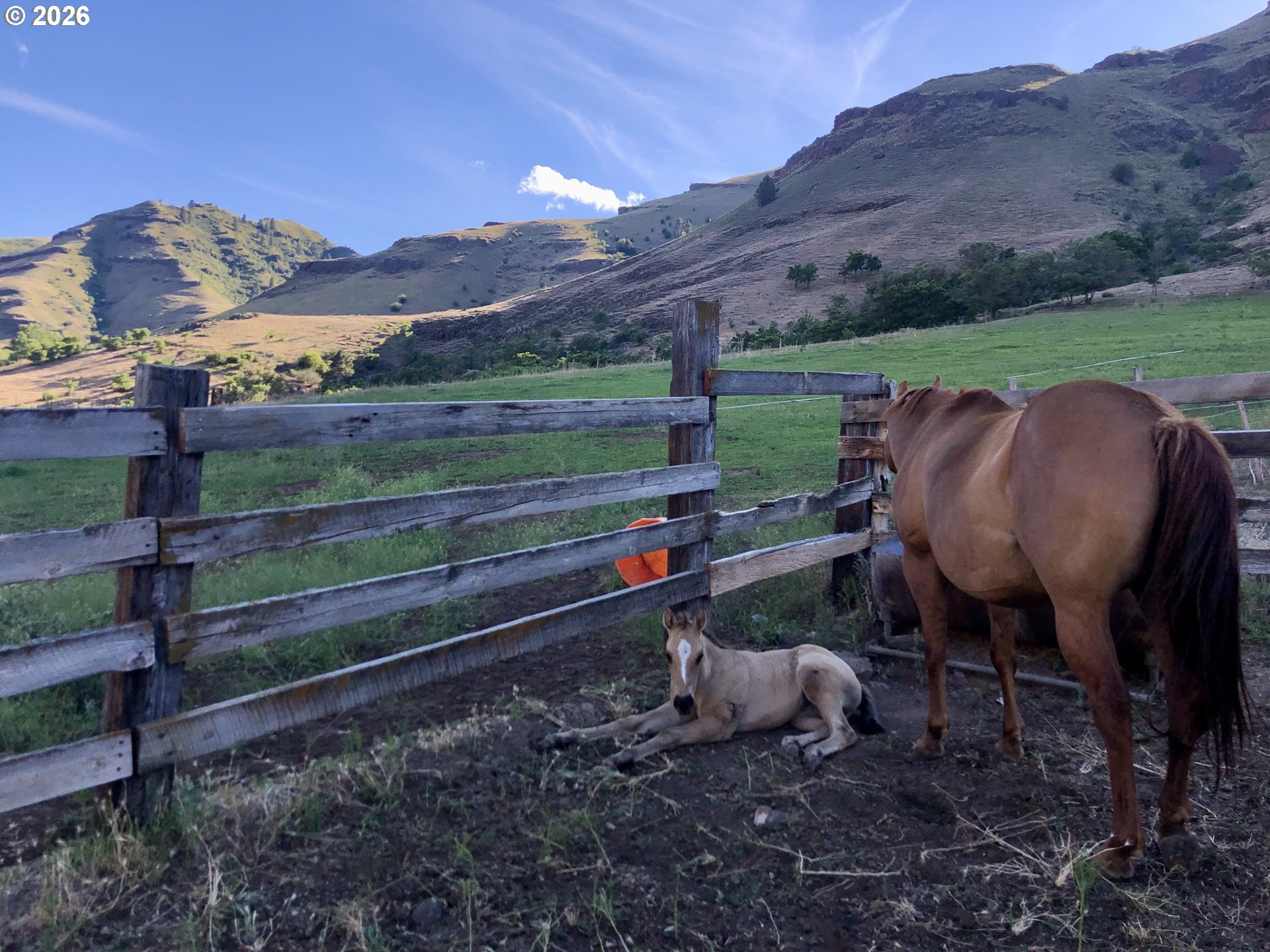 73720 Indian Creek Road Imnaha, OR 97842 - Photo 4 of 32