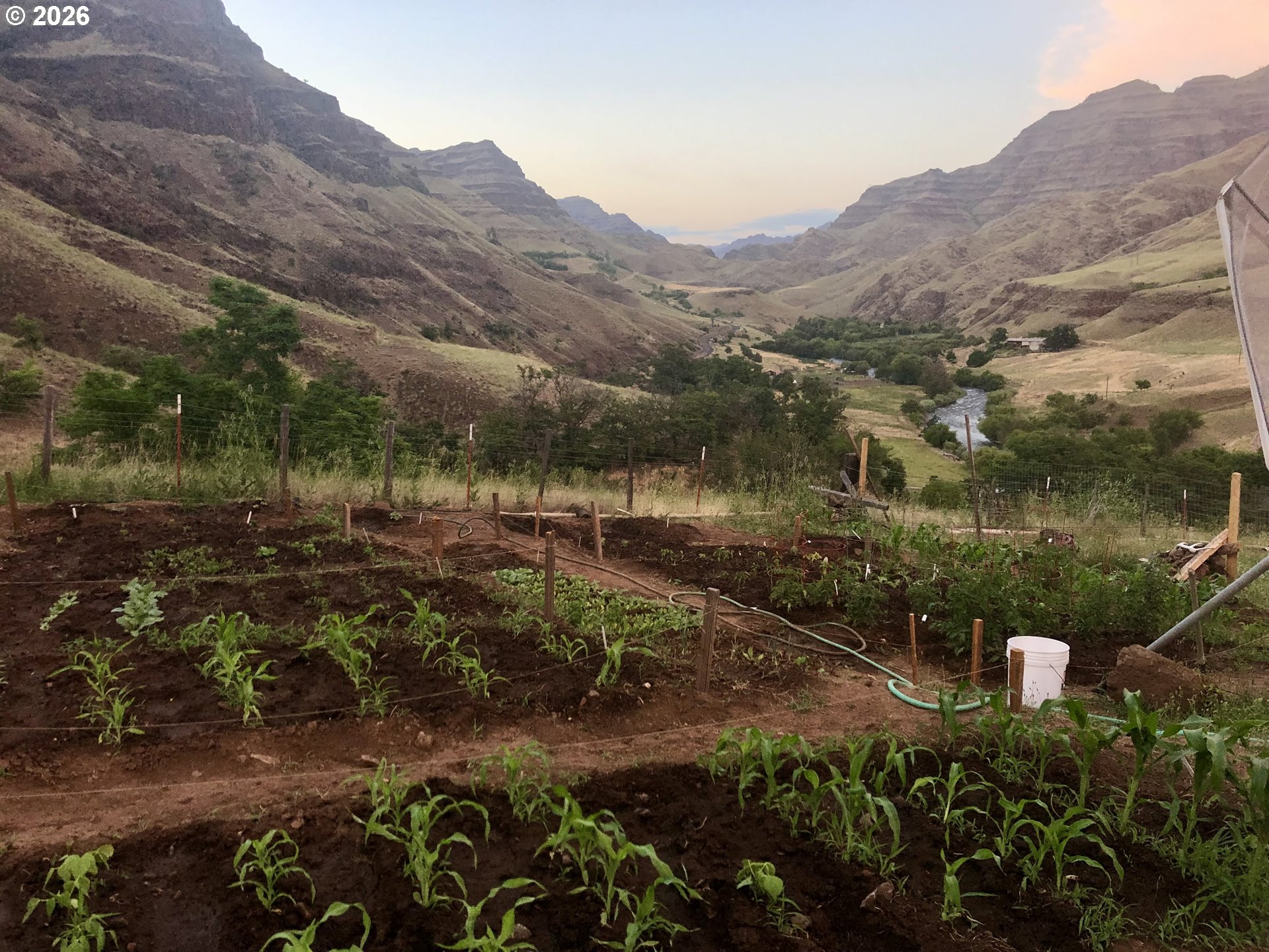 73720 Indian Creek Road Imnaha, OR 97842 - Photo 6 of 32
