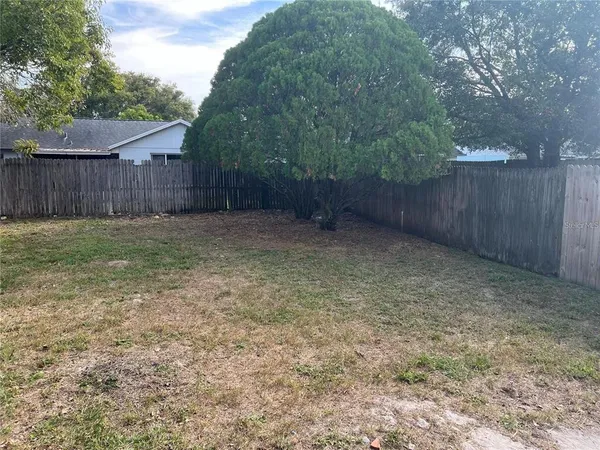a view of a backyard