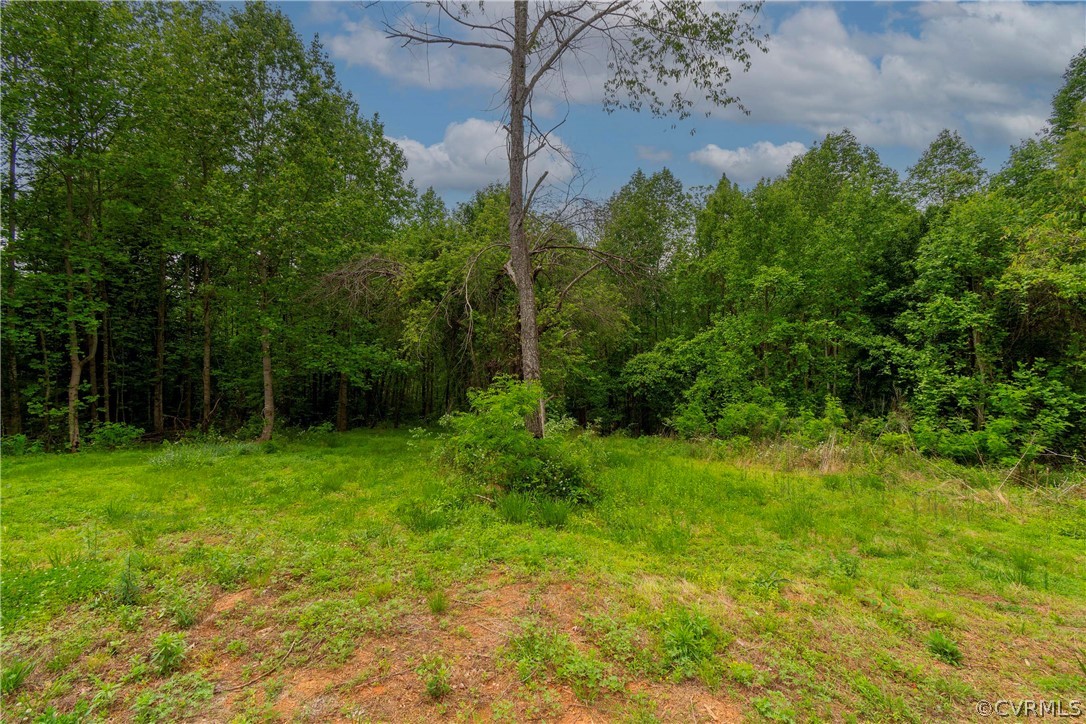 5701 Oakland Road Louisa, VA 23093 - Photo 34 of 37 Gallery Image 34