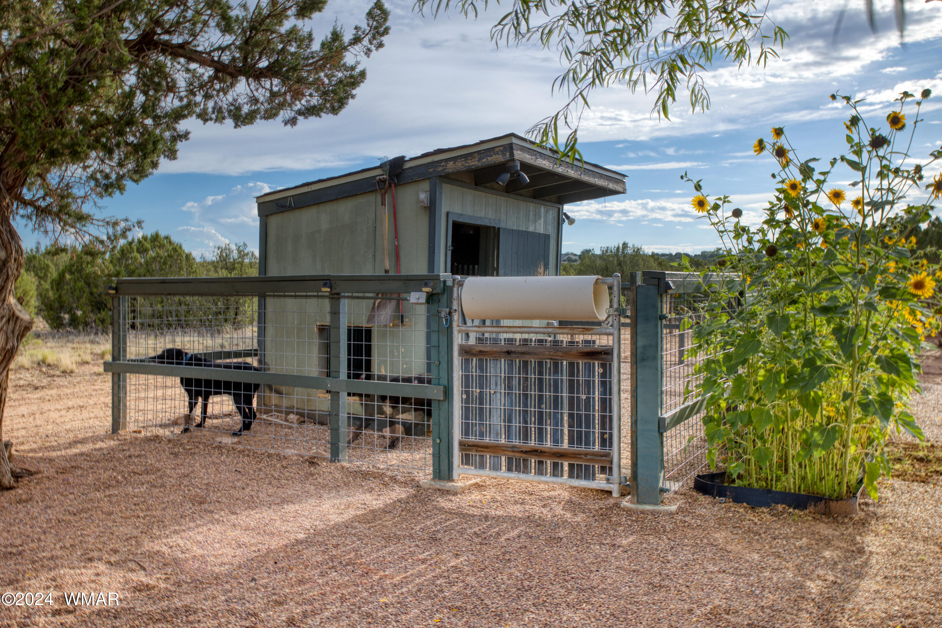 3859 Ramsay Road Snowflake, AZ 85937 - Photo 36 of 40 Paxmanphoto_PAX_3499