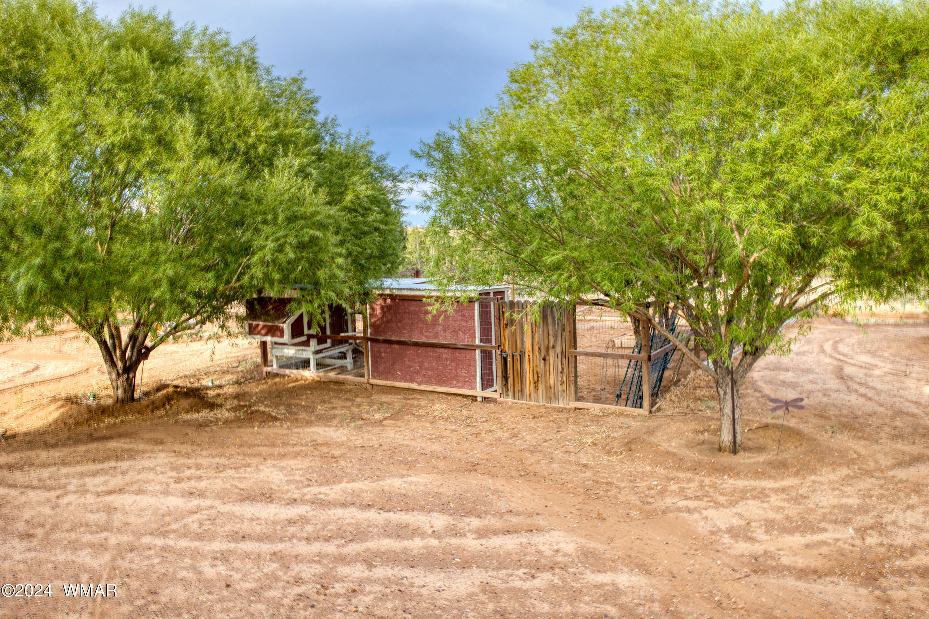 3859 Ramsay Road Snowflake, AZ 85937 - Photo 4 of 40 Paxmanphoto_PAX_3505