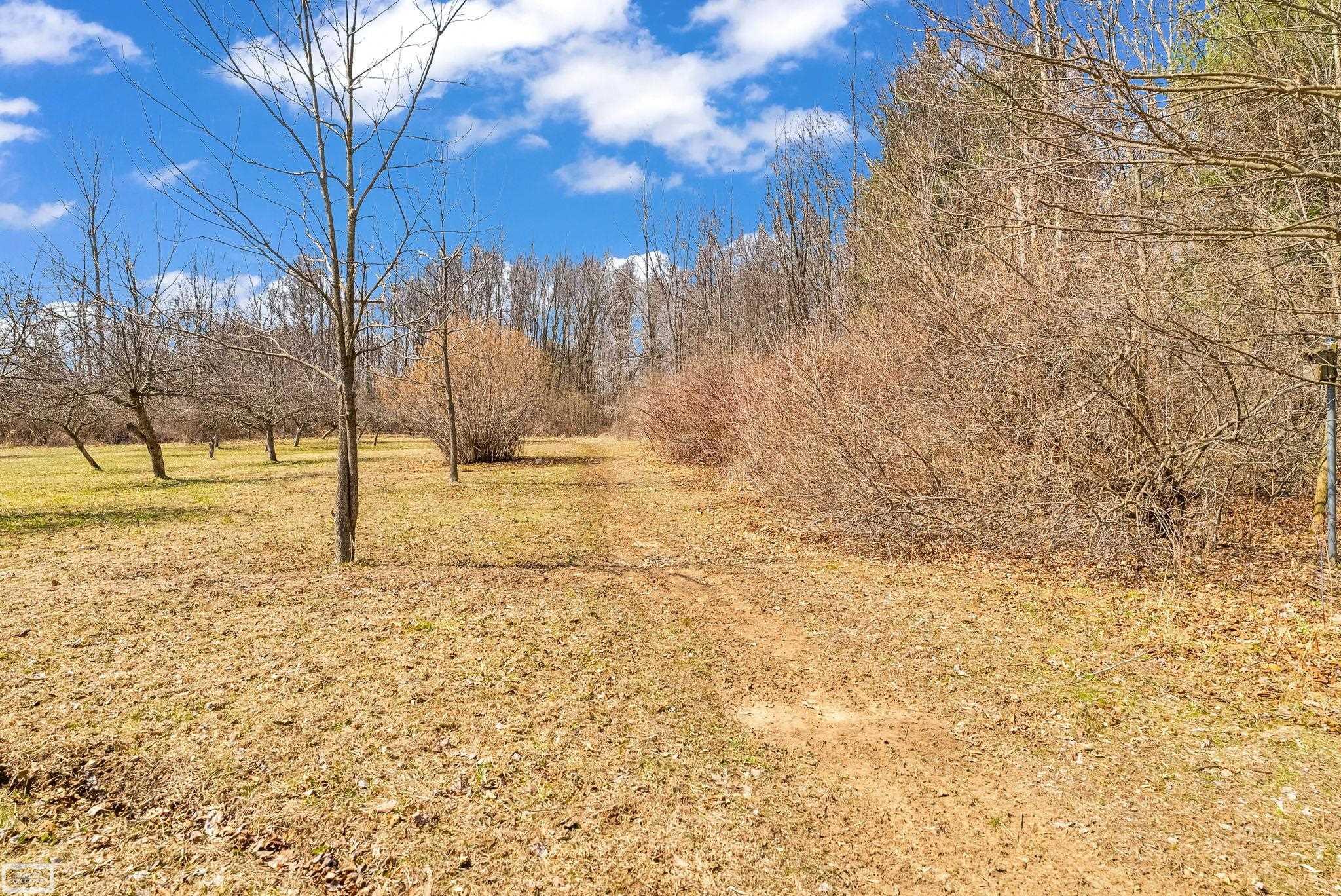 5139 Welch Road Emmett, MI 48022 - Photo 45 of 58 Gallery Image 45