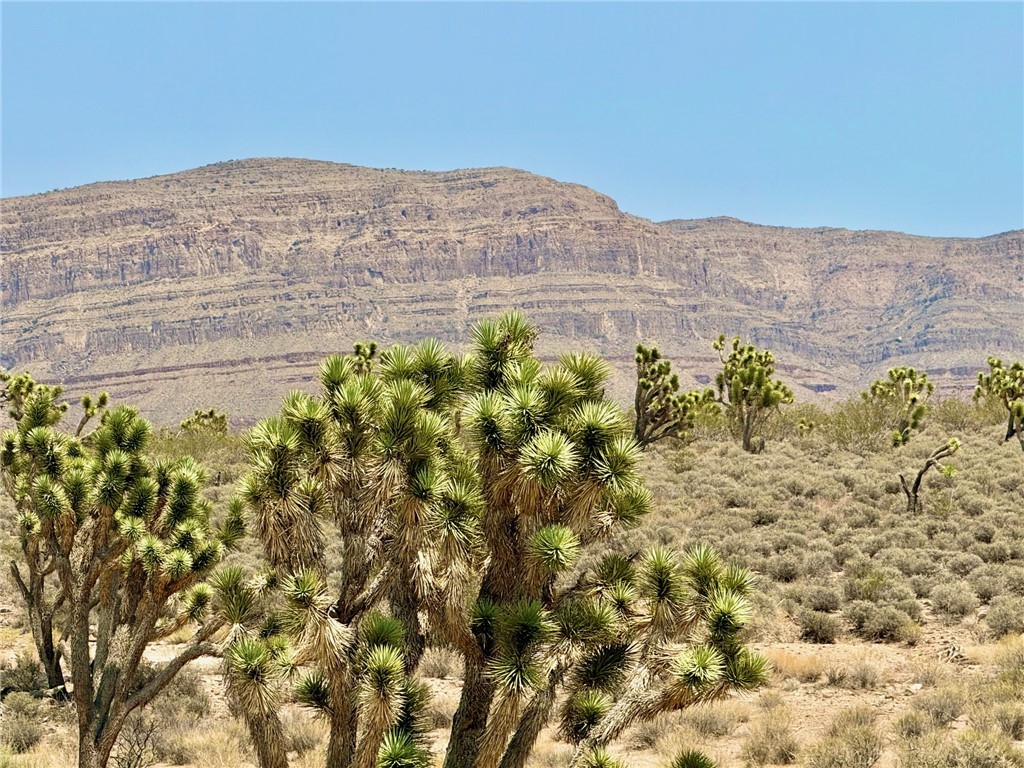 26681 Yucca Meadview, AZ 86444 - Photo 1 of 25 a view of a large building with a mountain in the background