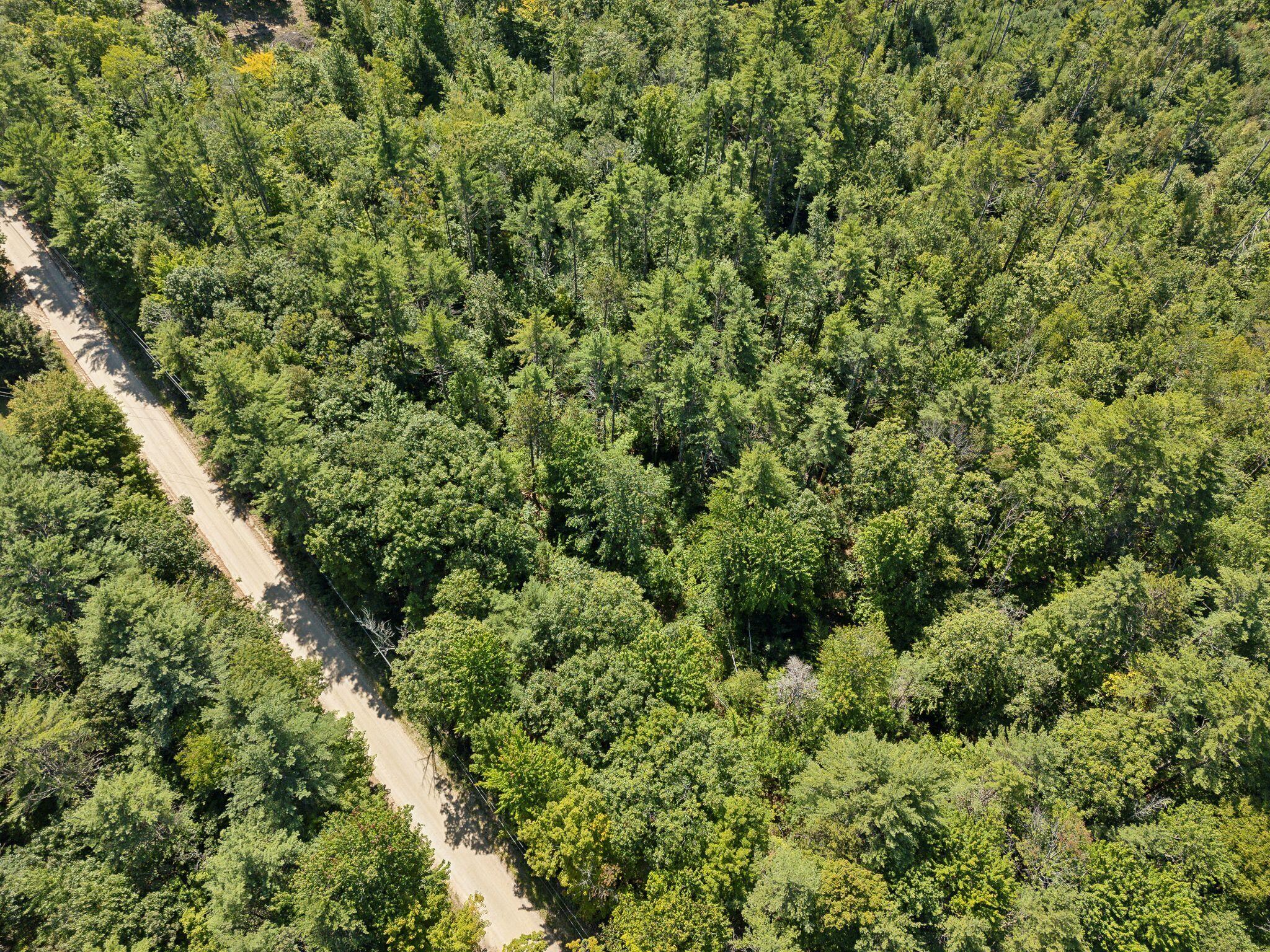 Lot 6 Benson Road West Newfield, ME 04095 - Photo 1 of 9 1