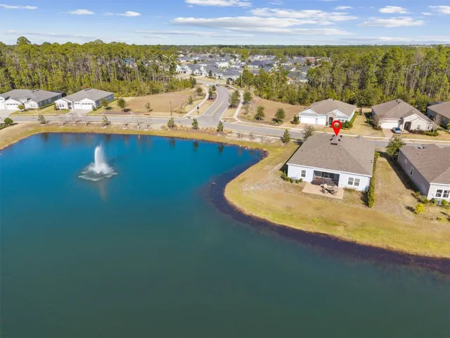 an aerial view of a house with a yard and a large tree