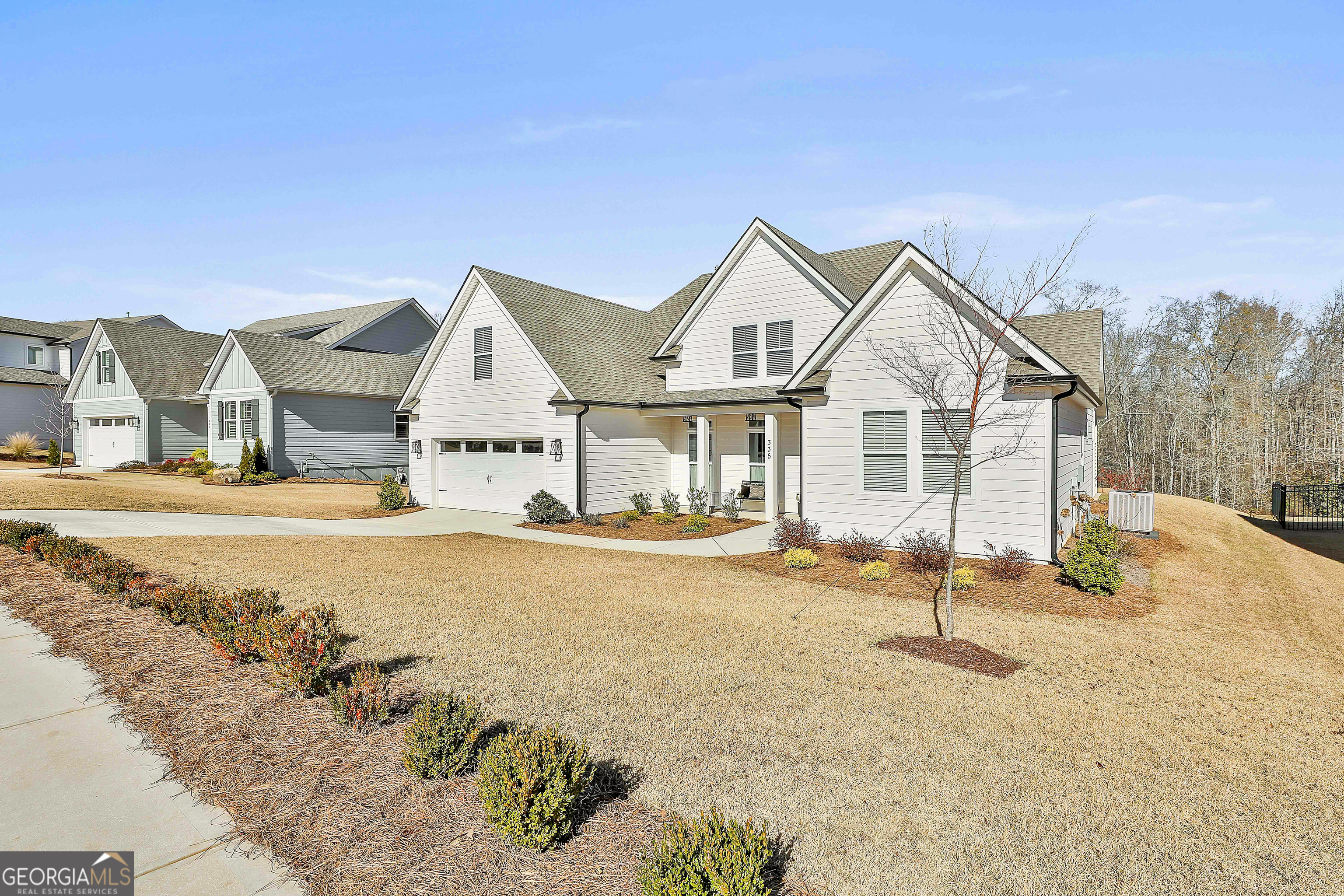 335 Werner Way Senoia, GA 30276 - Photo 3 of 51 a view of house with snow on the side of road
