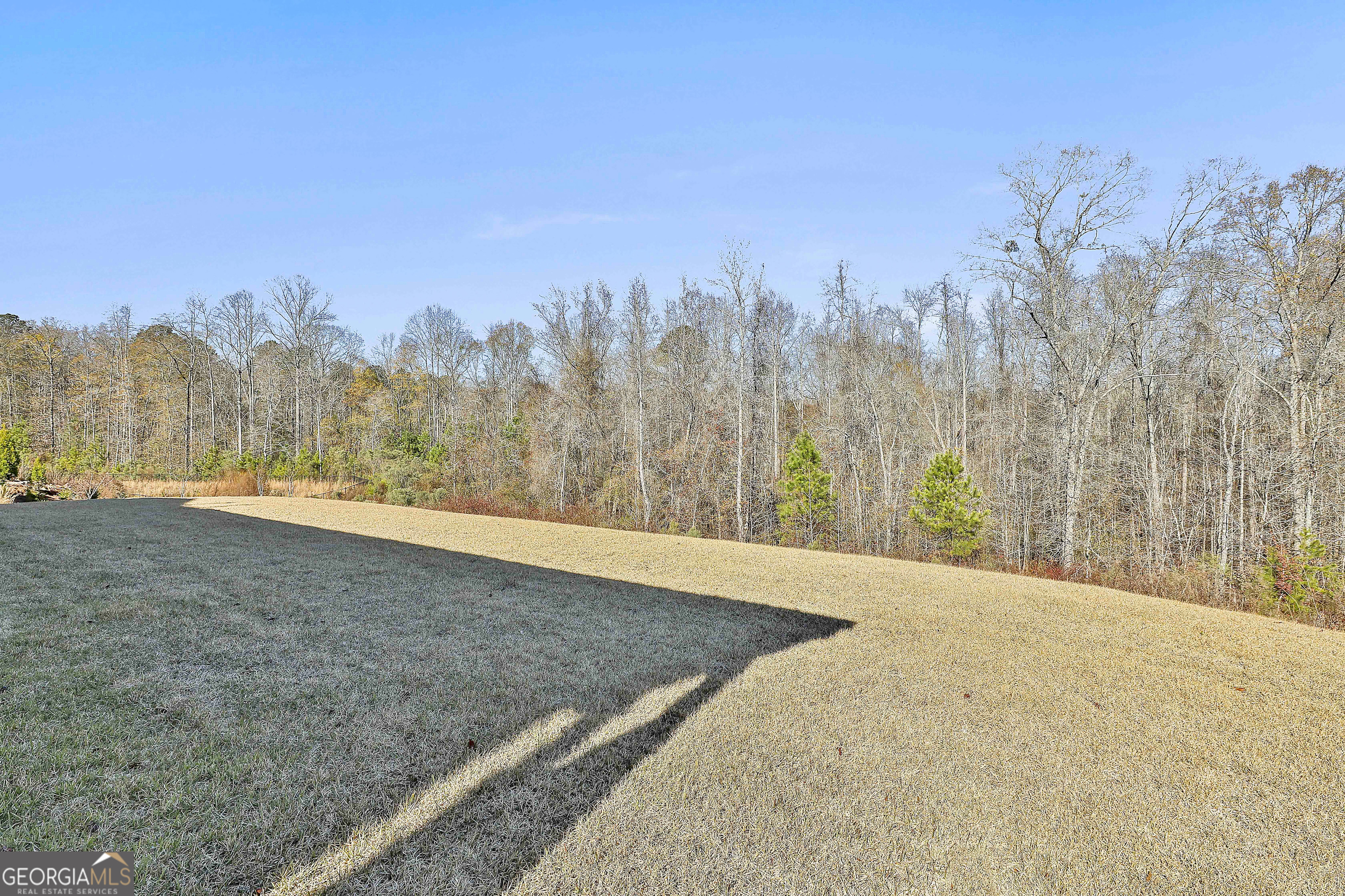 335 Werner Way Senoia, GA 30276 - Photo 48 of 51 a view of a yard with trees in the background