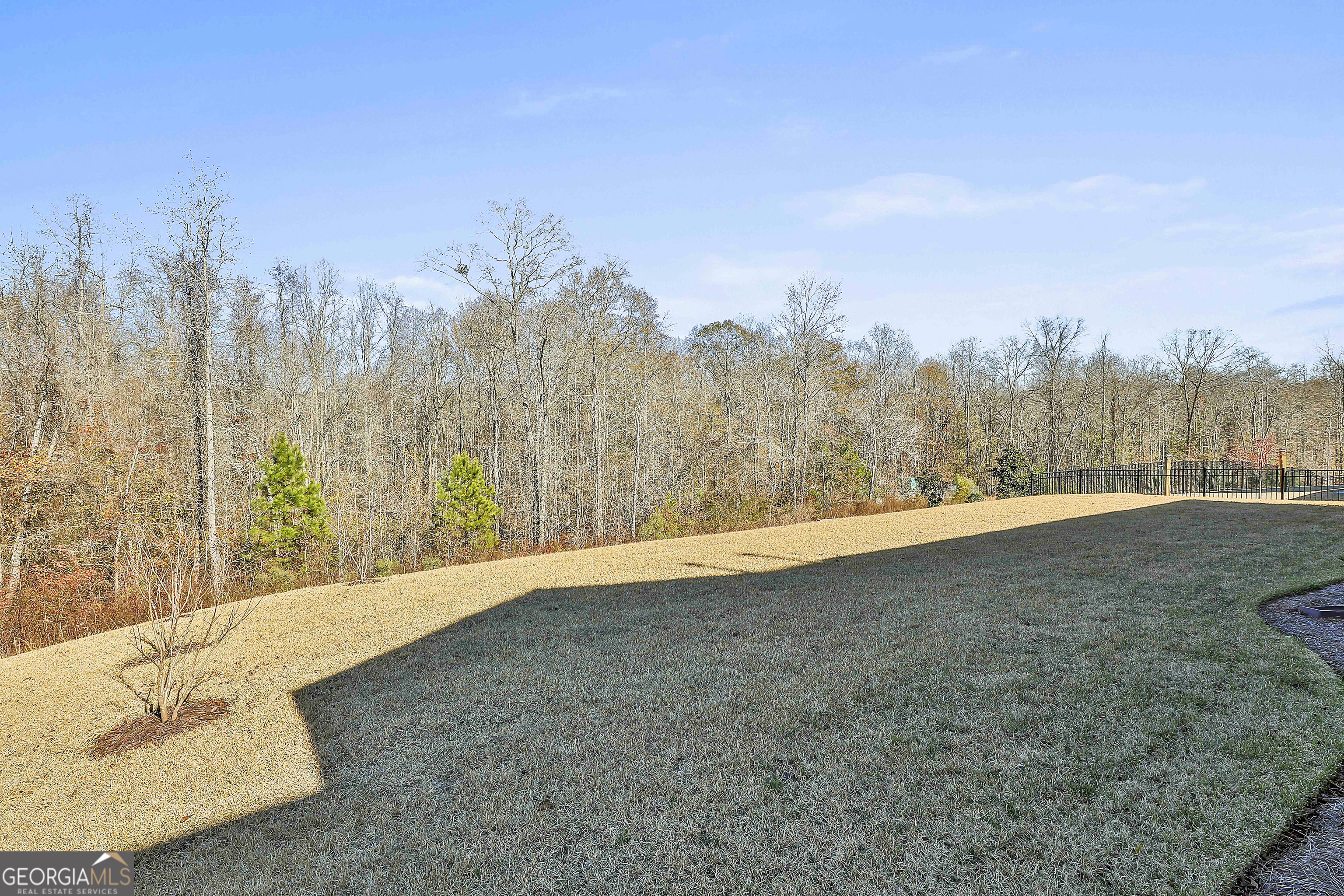 335 Werner Way Senoia, GA 30276 - Photo 51 of 51 a view of outdoor space with trees