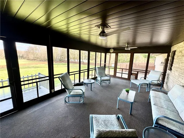 a view of field with tall trees