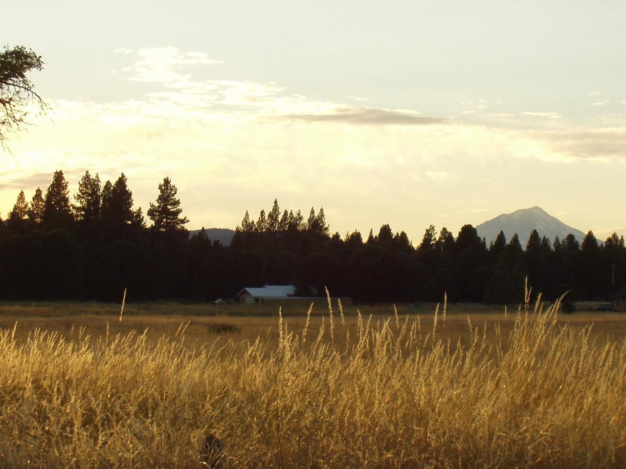 Tbd McArthur Road Fall River Mills, CA 96028 - Photo 1 of 1 a view of swimming pool and mountain view