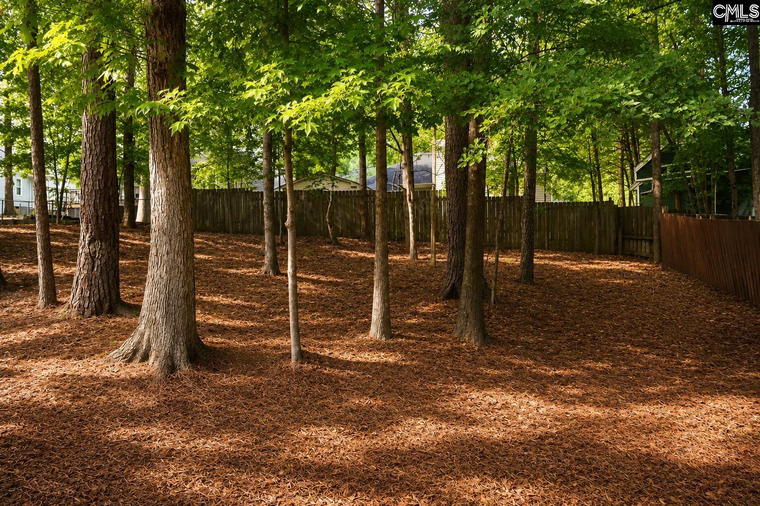 217 Stockmoor Road Columbia, SC 29212 - Photo 27 of 28